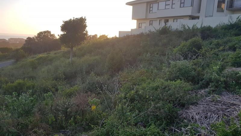 0 Bedroom Property for Sale in Outeniqua Strand Western Cape